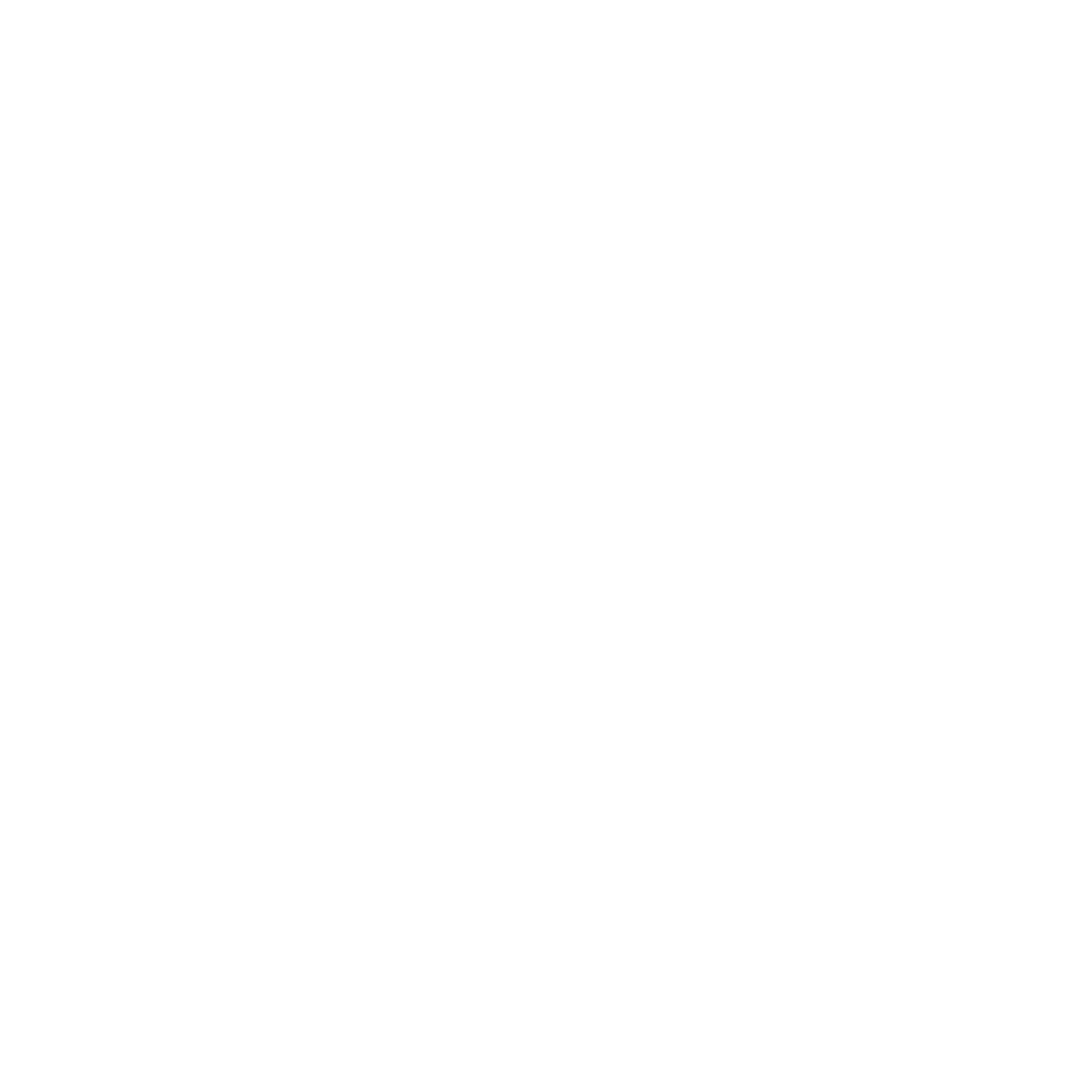 Discord icon