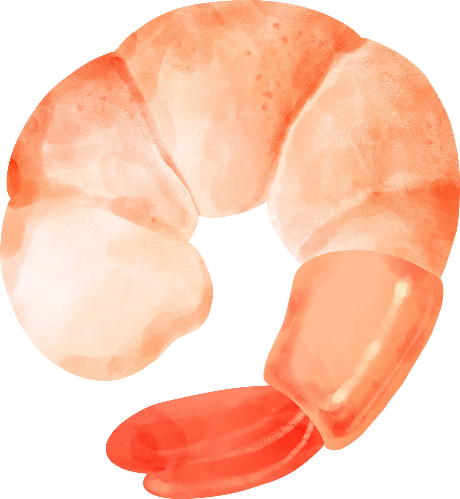 Shrimp
